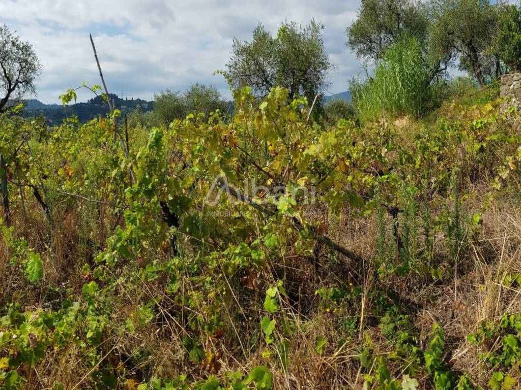 Terreno a Arcola - Foto 5