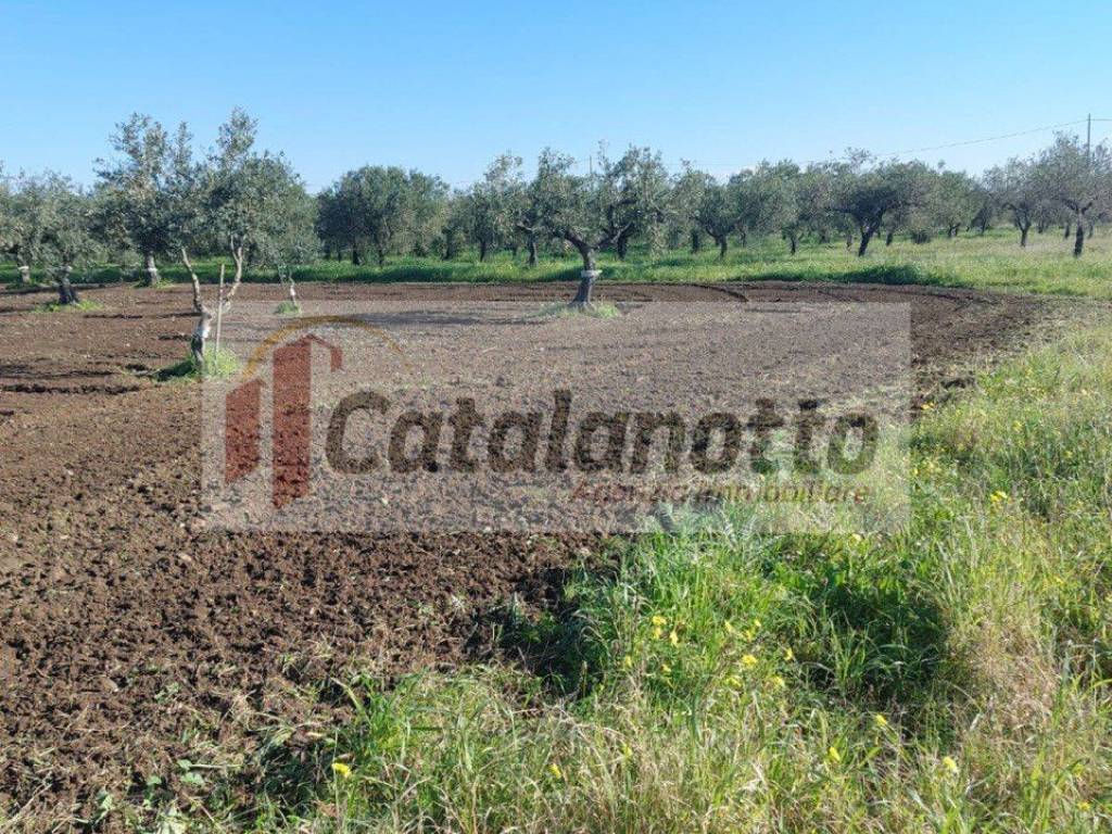 Terreno a Castelvetrano - Foto 2