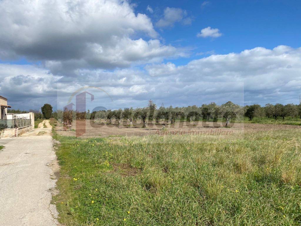Terreno a Castelvetrano - Foto 5