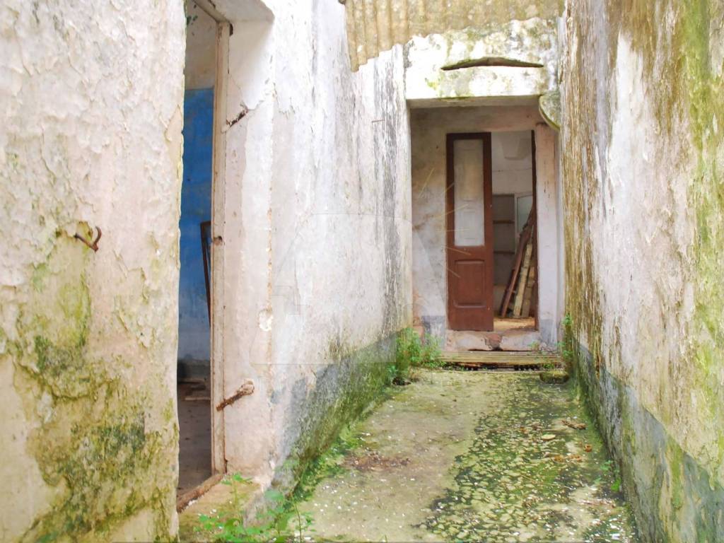 Casa indipendente a Specchia in Via Madonna del Passo, 47 - Foto 4