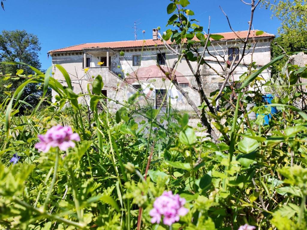 Rustico / casale a Polverigi - Foto 2