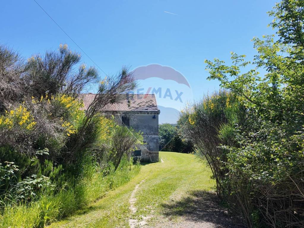 Rustico / casale a Polverigi - Foto 5