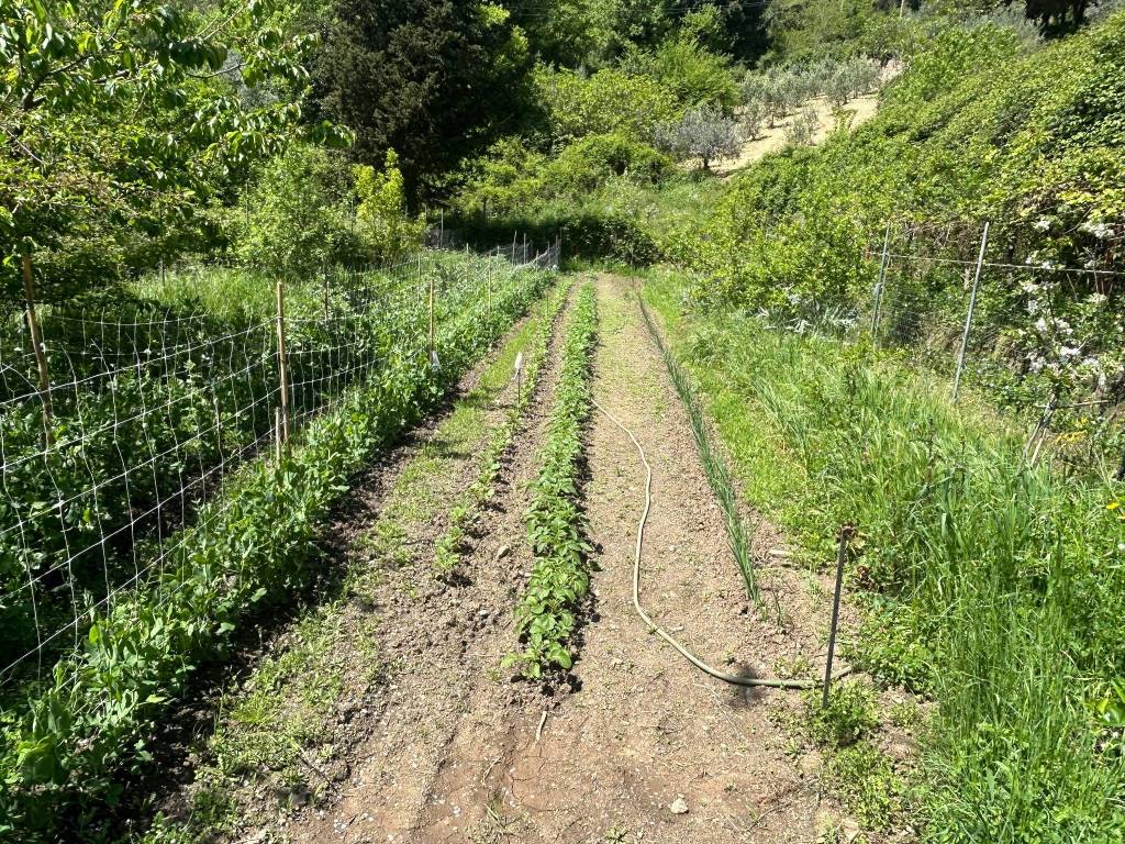 Rustico / casale a Massa marittima in Strada Provinciale Tatti - Foto 4