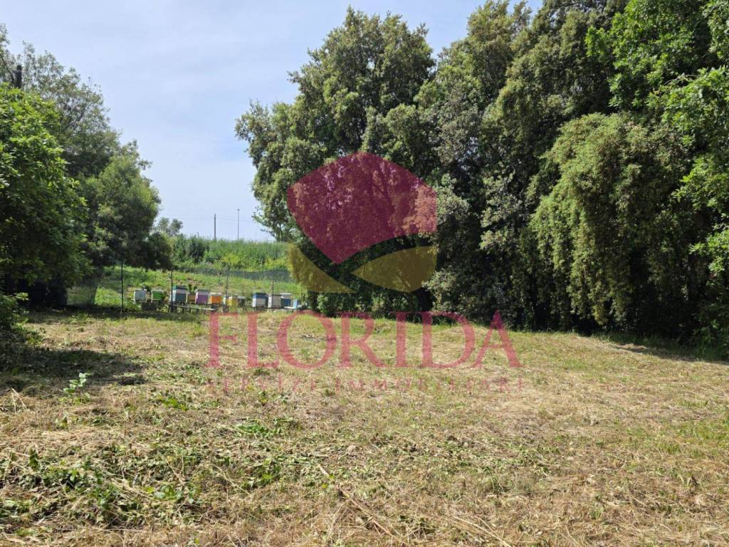 Terreno a Aprilia in Via delle Capinere - Foto 3