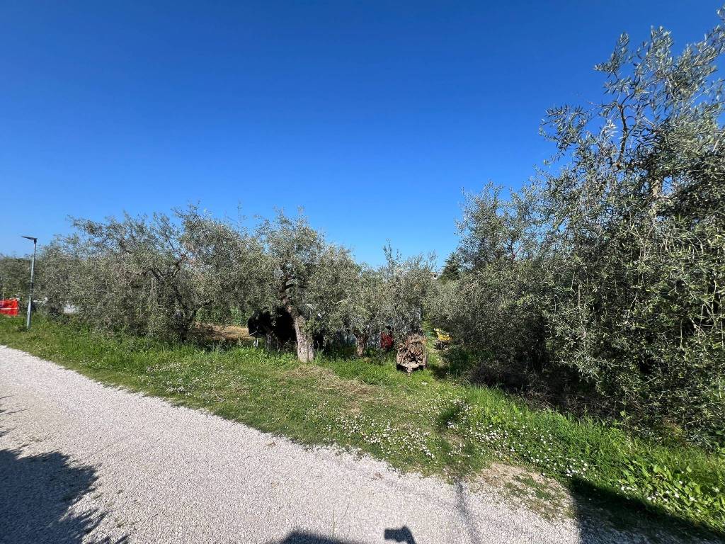 Terreno a Atri in Via dei Pini - Foto 4