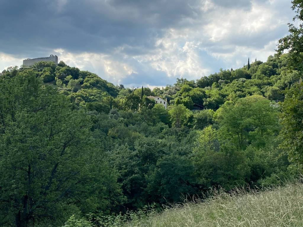 Terreno a Asolo in Via Foresto Nuovo - Foto 2