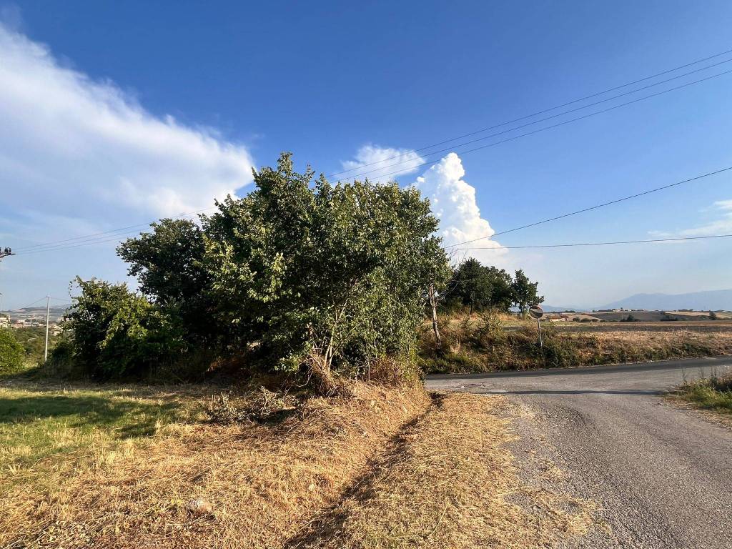 Rustico / casale a Pietrelcina in Contrada Difesa - Foto 5