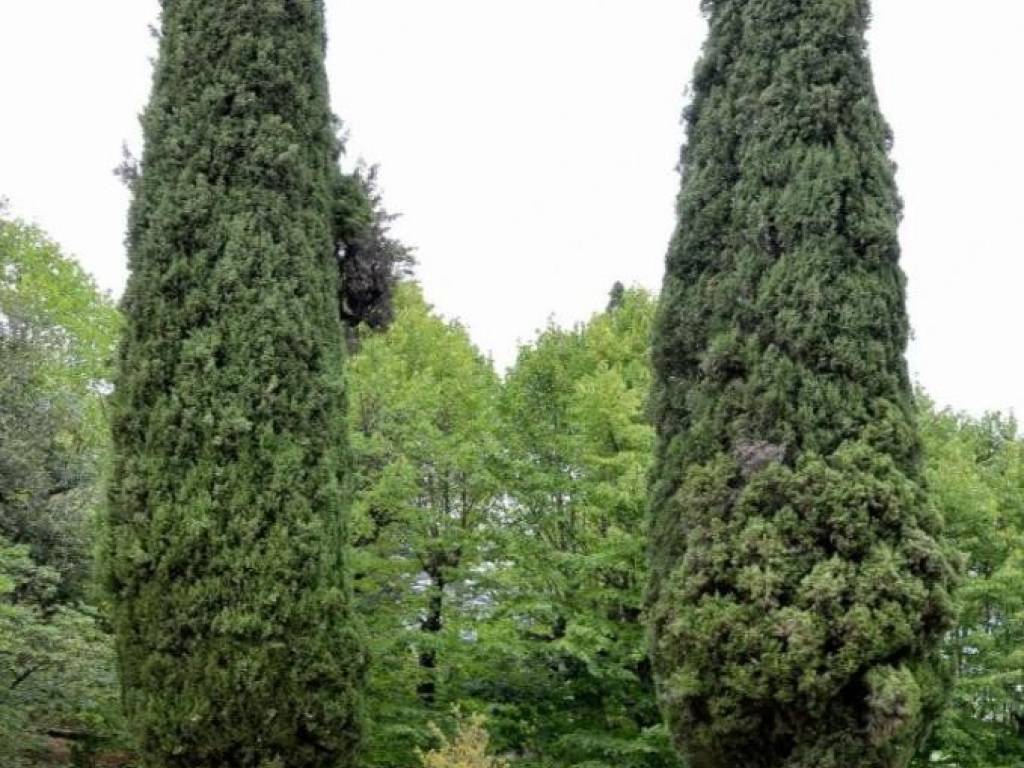 Villa a Panicale in VIA FRIEDRICH ENGELS, 24 - Foto 3