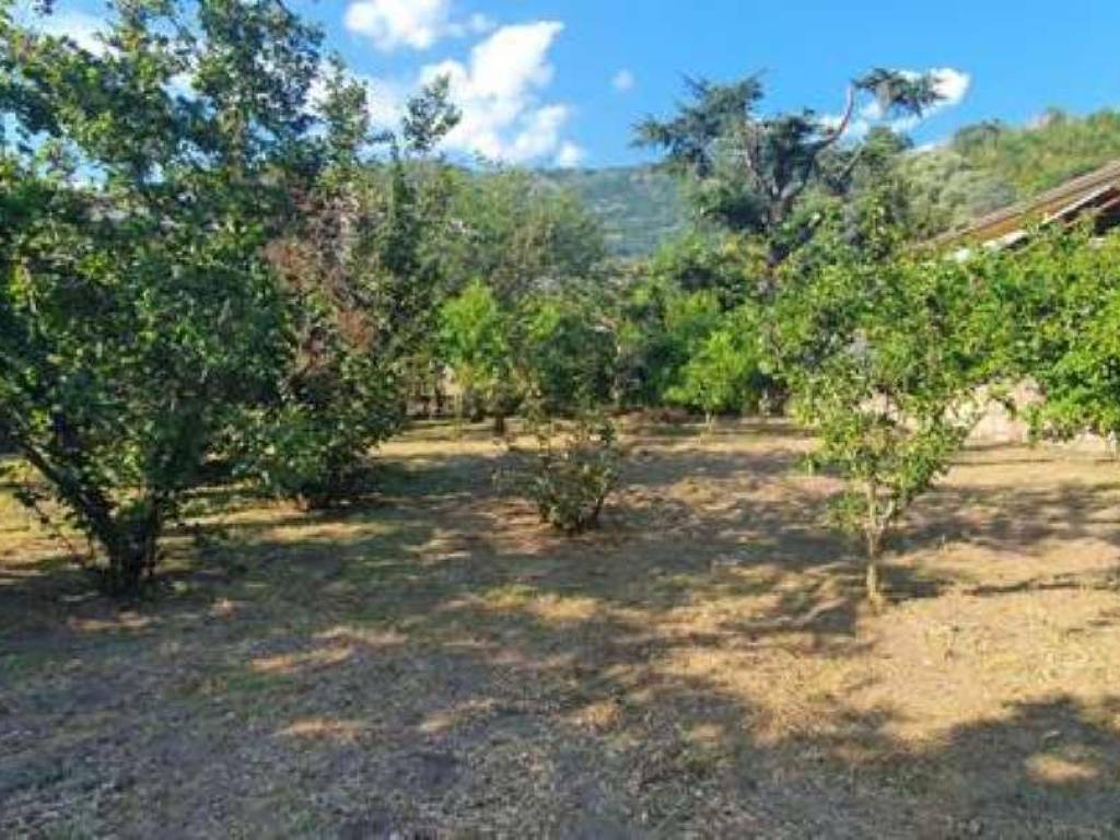 Terreno a Lauro in via nazionale SNC - Foto 4