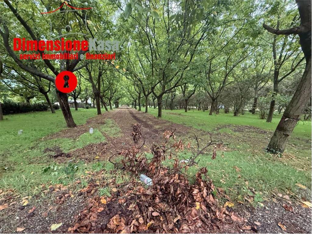 Terreno a Cicciano - Foto 2