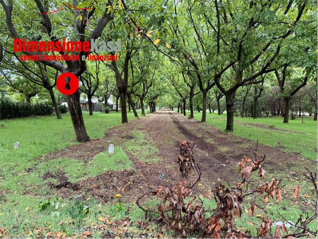 Terreno a Cicciano - Foto 4