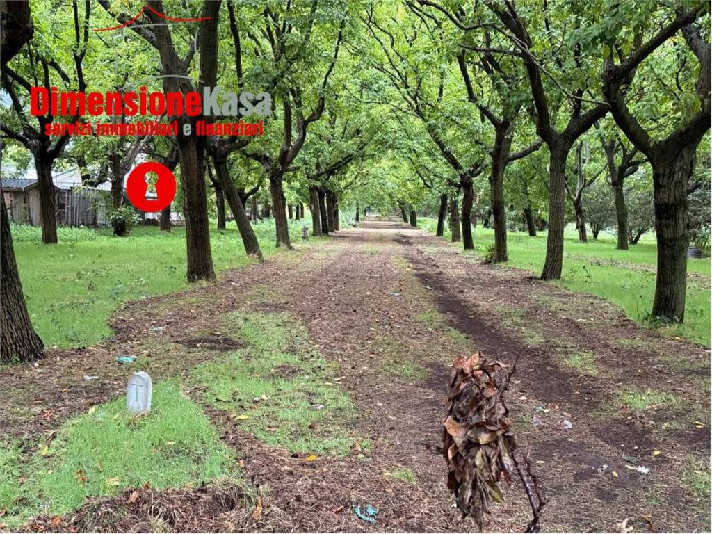 Terreno a Cicciano - Foto 5
