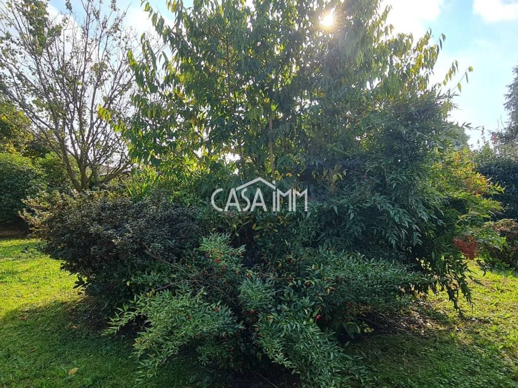 Villa a Taino in Via Bologna - Foto 4