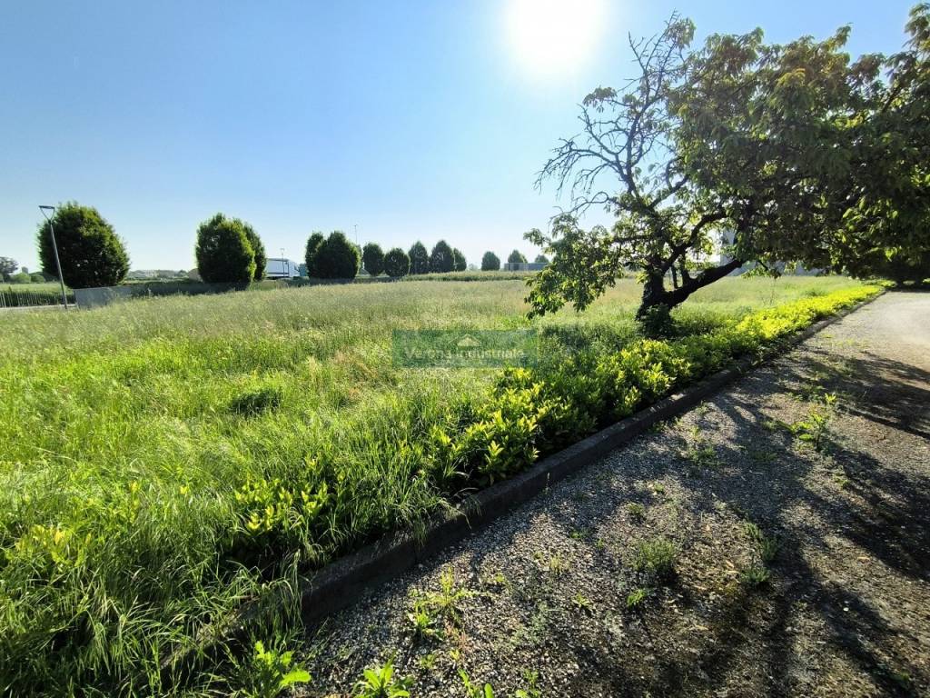 Terreno a Nogarole rocca in via Colombare 1 - Foto 4