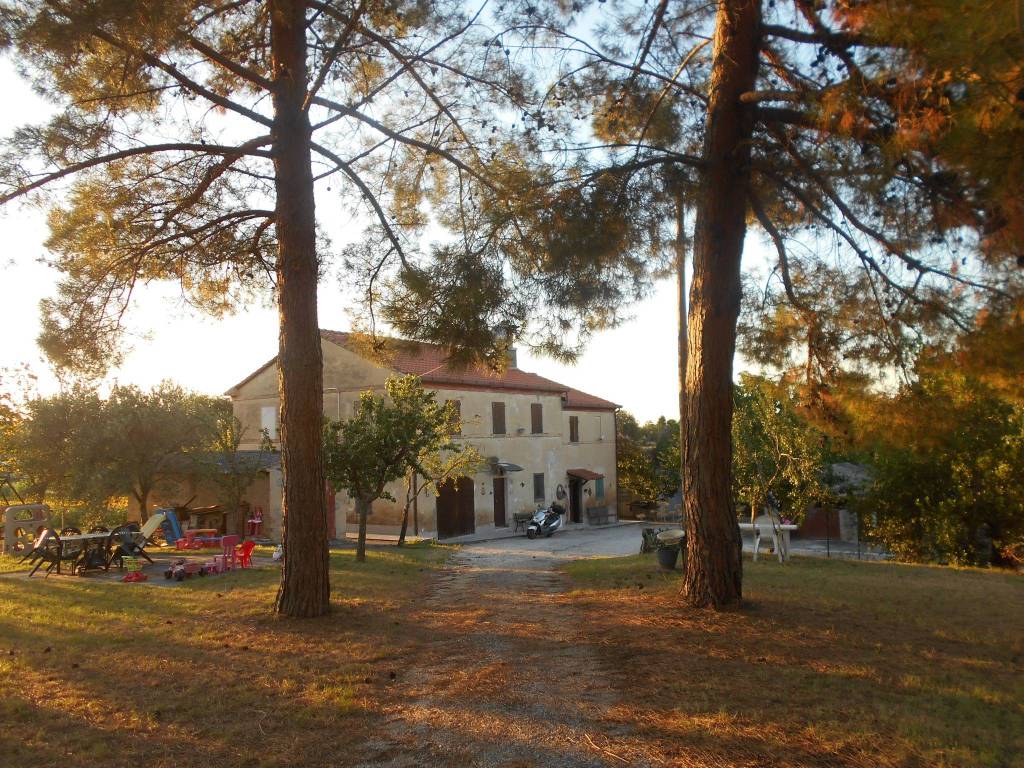 Rustico / casale a Monsano - Foto 3
