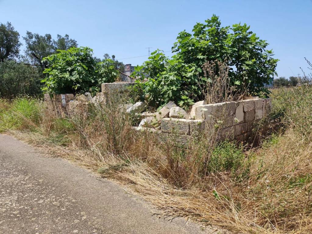 Terreno a Cutrofiano in Contrada Maricore S.N.C. - Foto 4