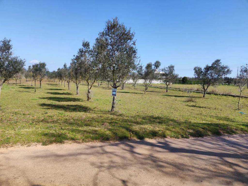 Terreno a Cutrofiano in Via Campo Sportivo S.N.C. - Foto 2