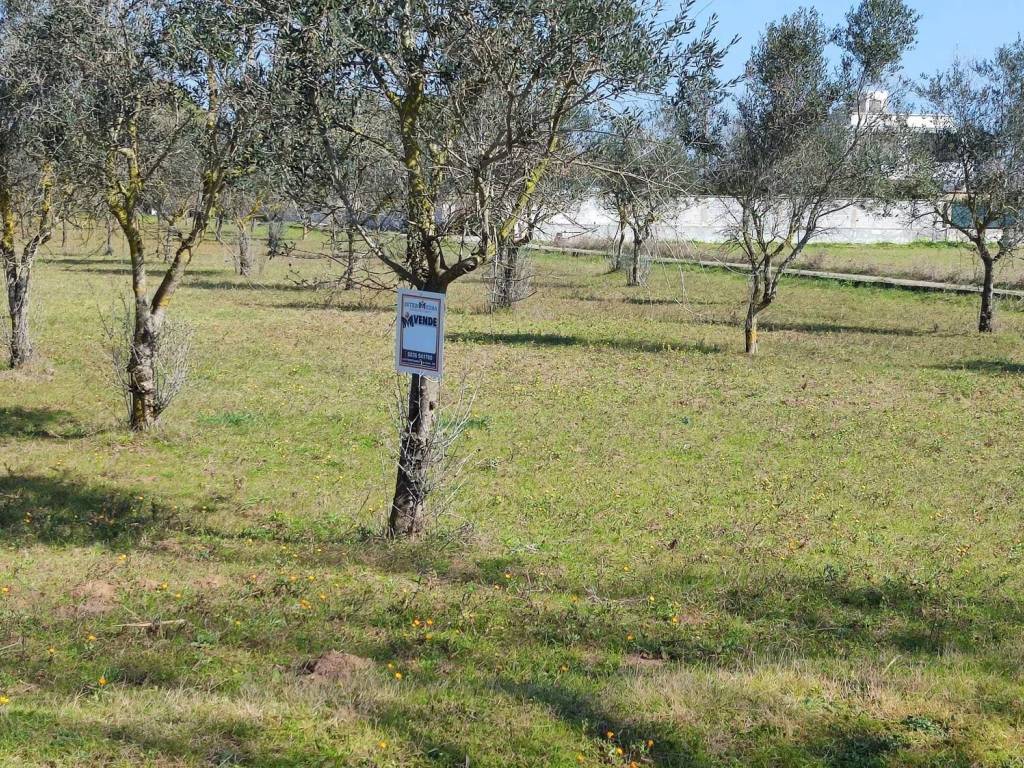 Terreno a Cutrofiano in Via Campo Sportivo S.N.C. - Foto 3
