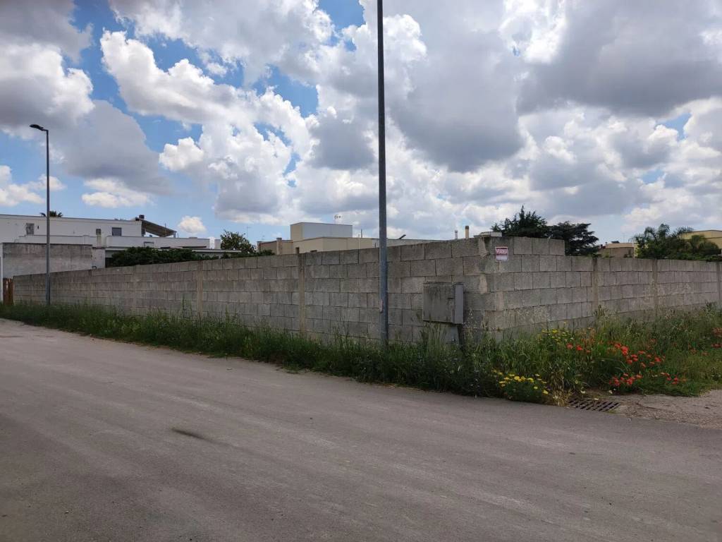 Terreno a Sogliano cavour in Via San Pietro, 8 - Foto 3