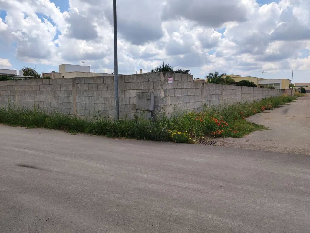 Terreno a Sogliano cavour in Via San Pietro, 8 - Foto 4