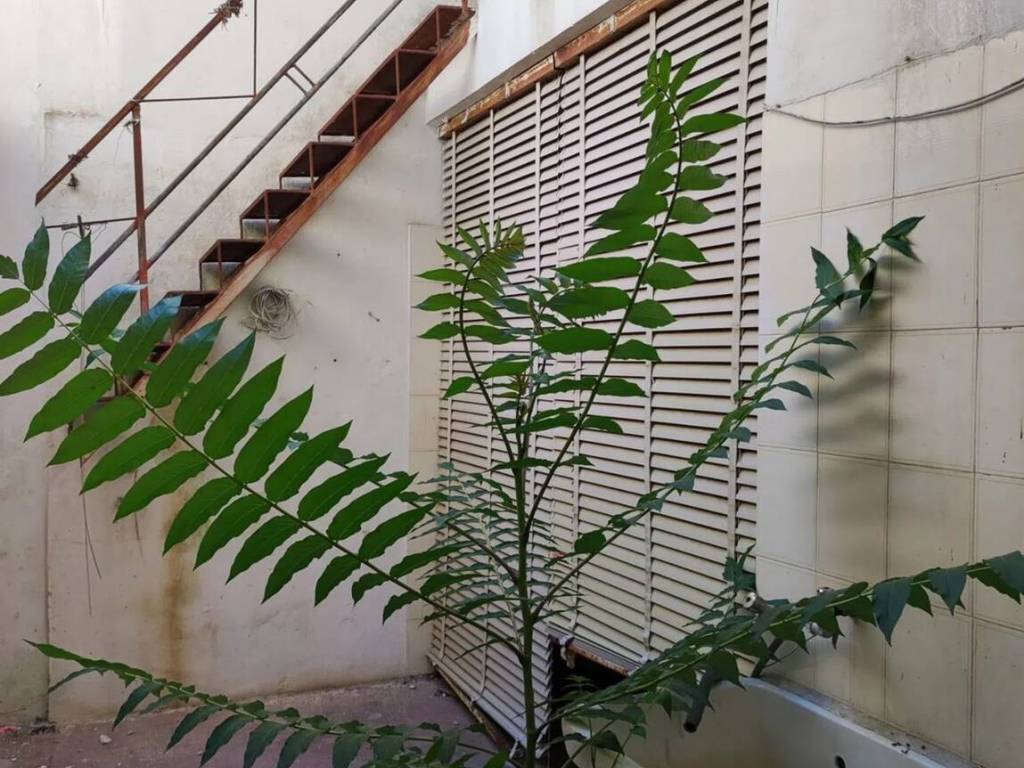 Box / garage a Cutrofiano in Viale Della Repubblica, 62 - Foto 5