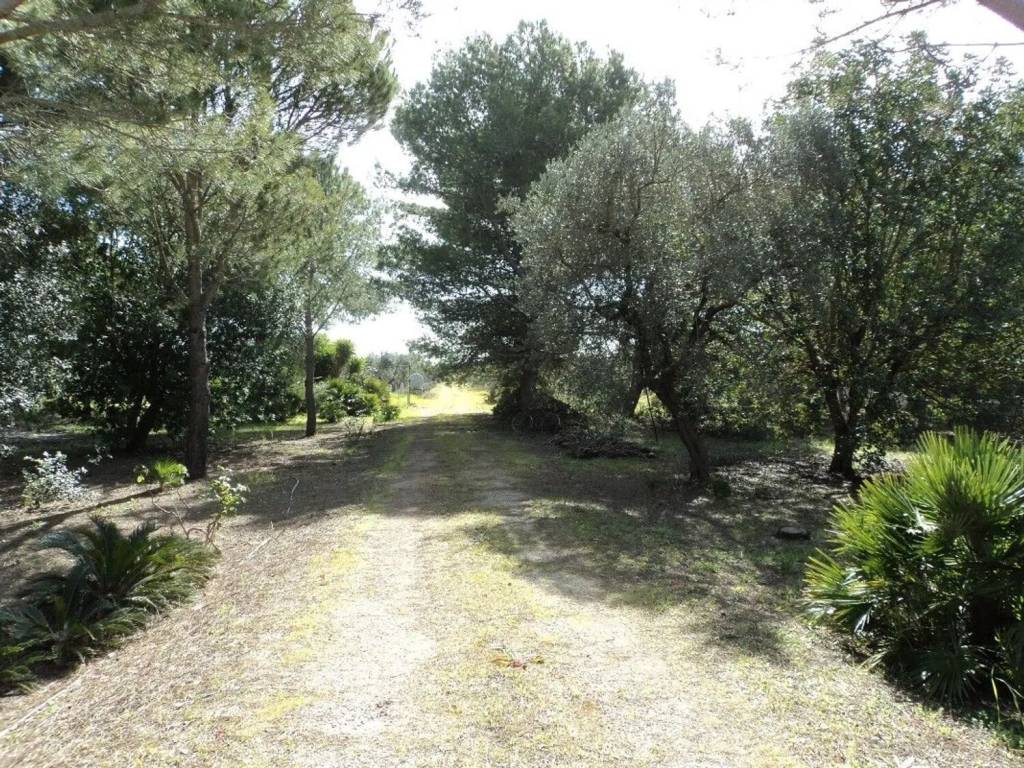 Terreno a Cutrofiano in Via Vicinale Per Soleto S.N.C. - Foto 4