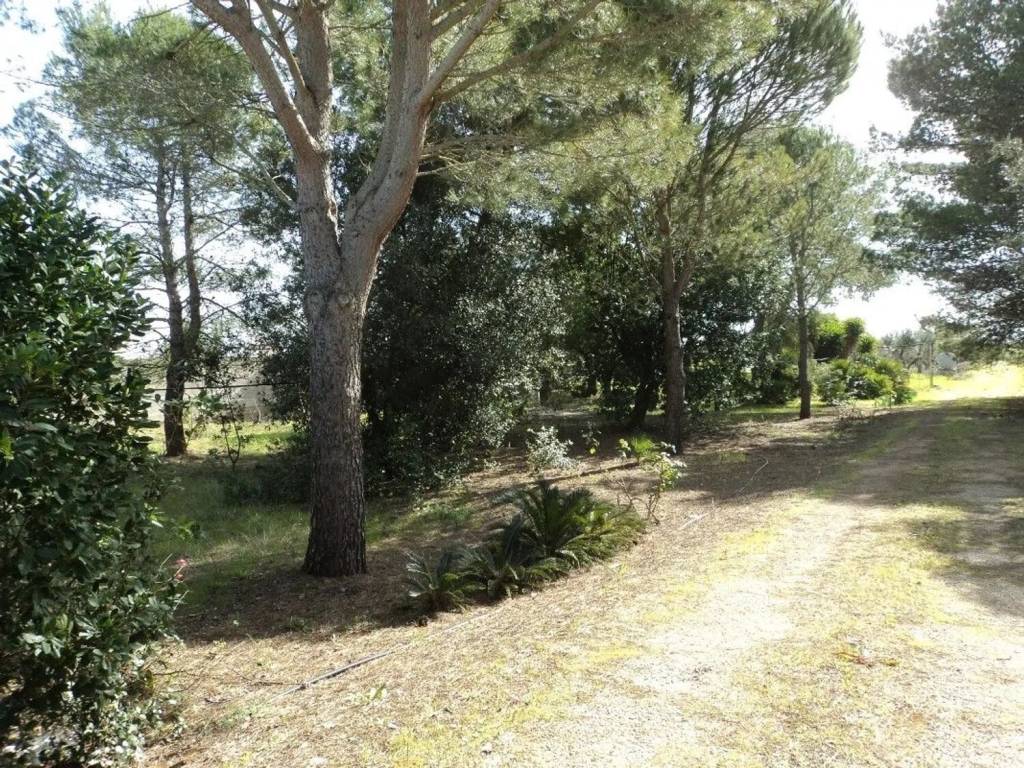 Terreno a Cutrofiano in Via Vicinale Per Soleto S.N.C. - Foto 5