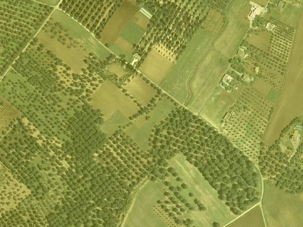 Terreno a Cutrofiano in Contrada Franche - Foto 2