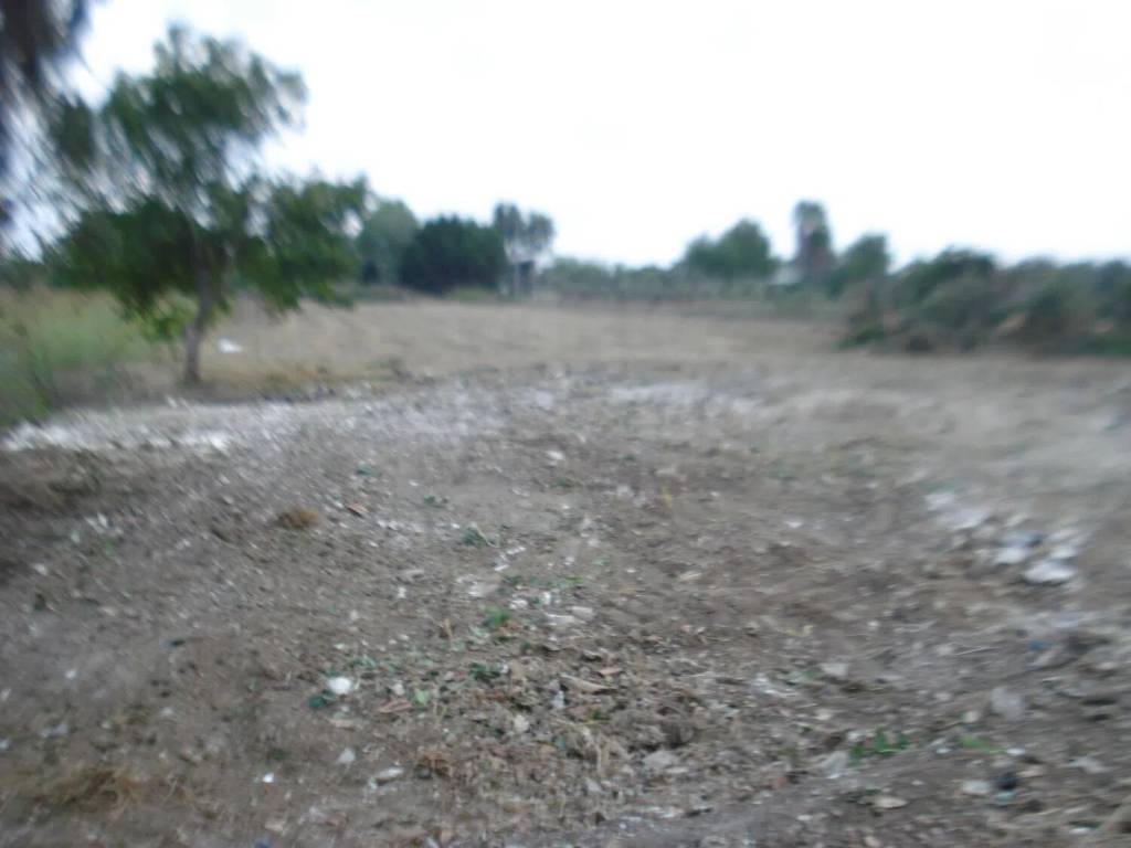 Rustico / casale a Cutrofiano in Contrada Claudio S.N.C. - Foto 4