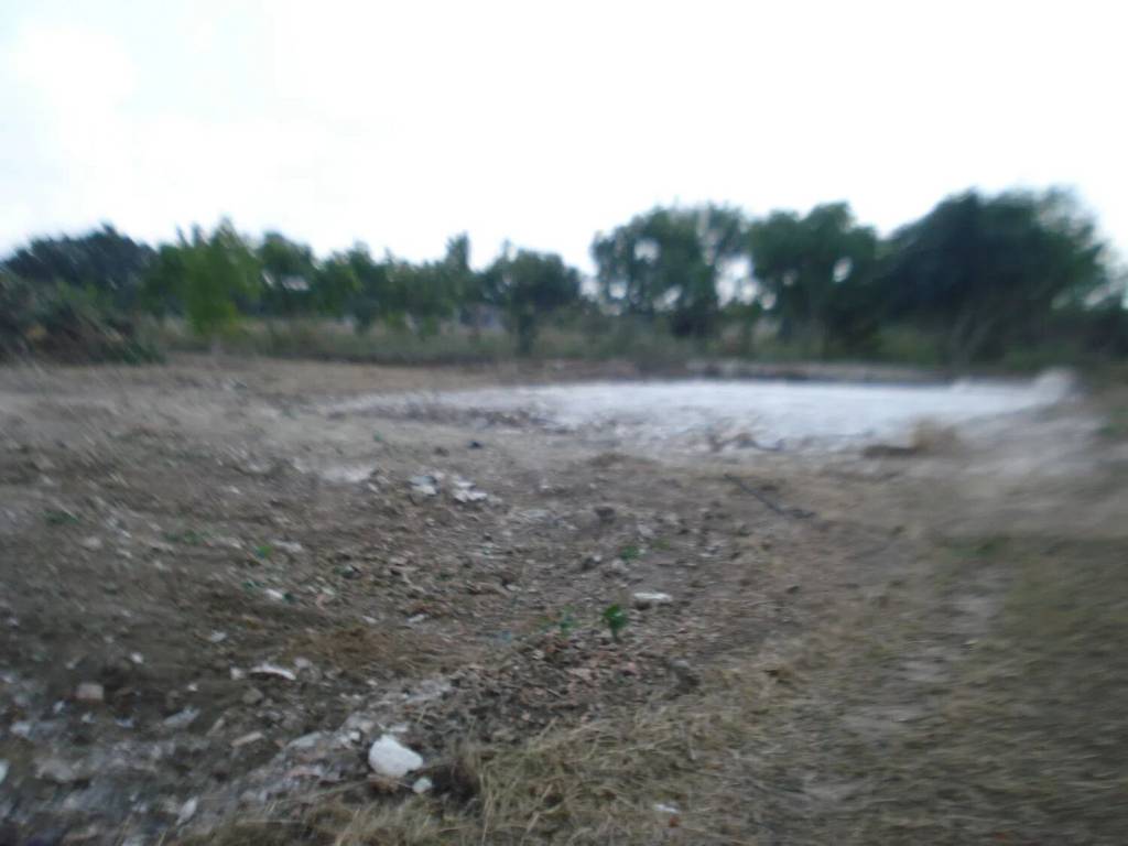 Rustico / casale a Cutrofiano in Contrada Claudio S.N.C. - Foto 5