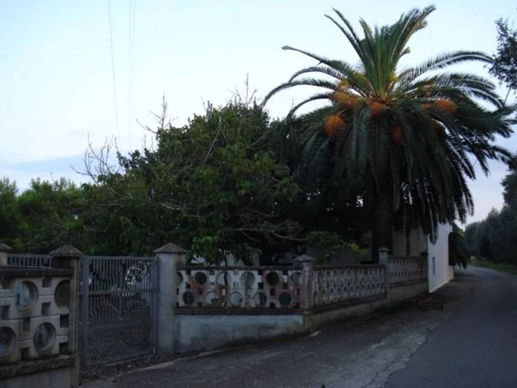 Rustico / casale a Cutrofiano in Contrada Metallo S.N.C. - Foto 4