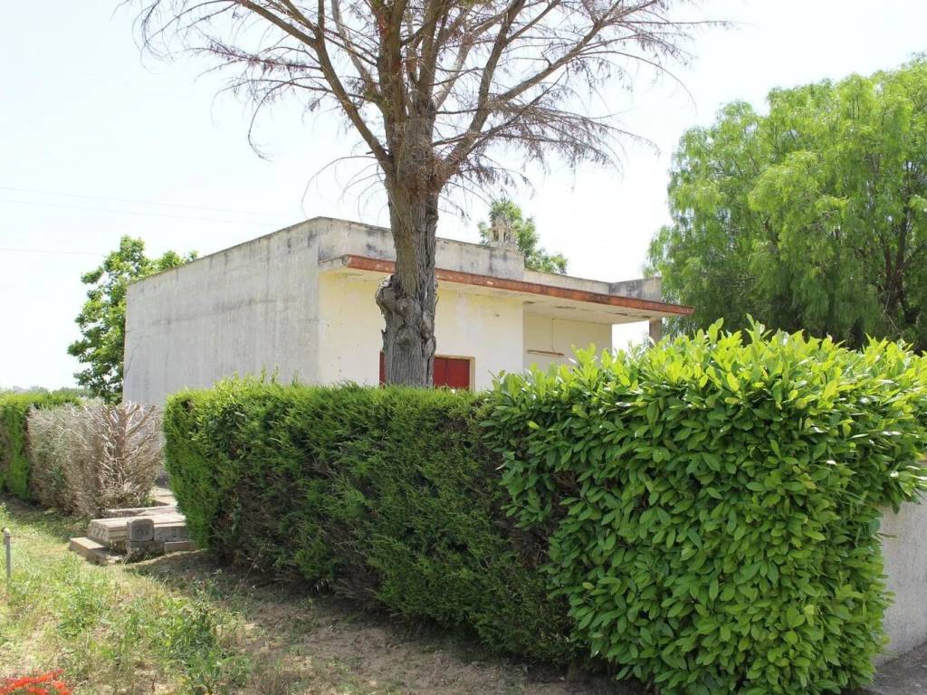 Rustico / casale a Cutrofiano in Contrada Sirgole S.N.C. - Foto 3