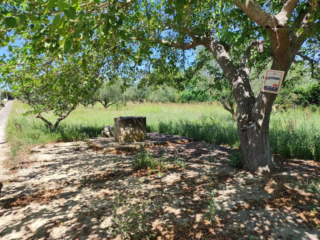 Rustico / casale a Cutrofiano in Contrada Lavati S.N.C. - Foto 2