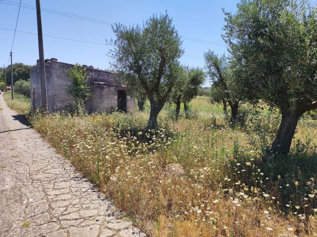 Rustico / casale a Cutrofiano in Contrada Lavati S.N.C. - Foto 3