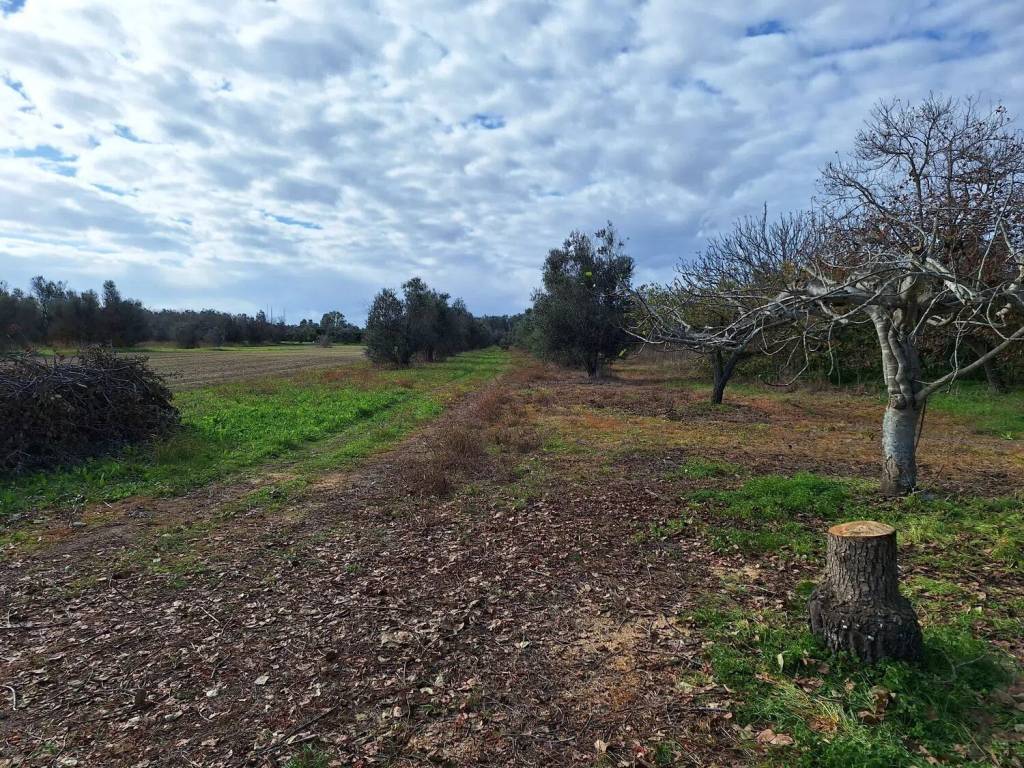 Villa a Cutrofiano in Contrada Metallo - Foto 3