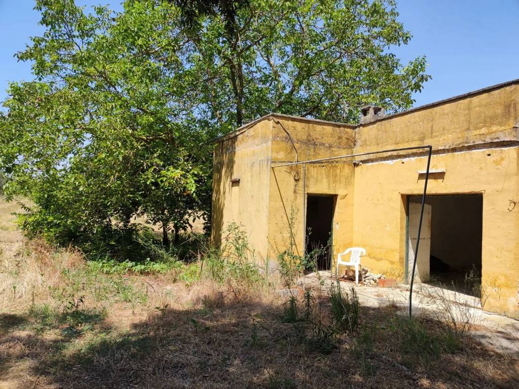 Rustico / casale a Cutrofiano in Contrada Colamaria S.N.C. - Foto 3