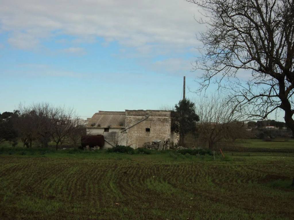 Rustico / casale a Sogliano cavour in Strada Vicinale Delle Scotola S.N.C. - Foto 2