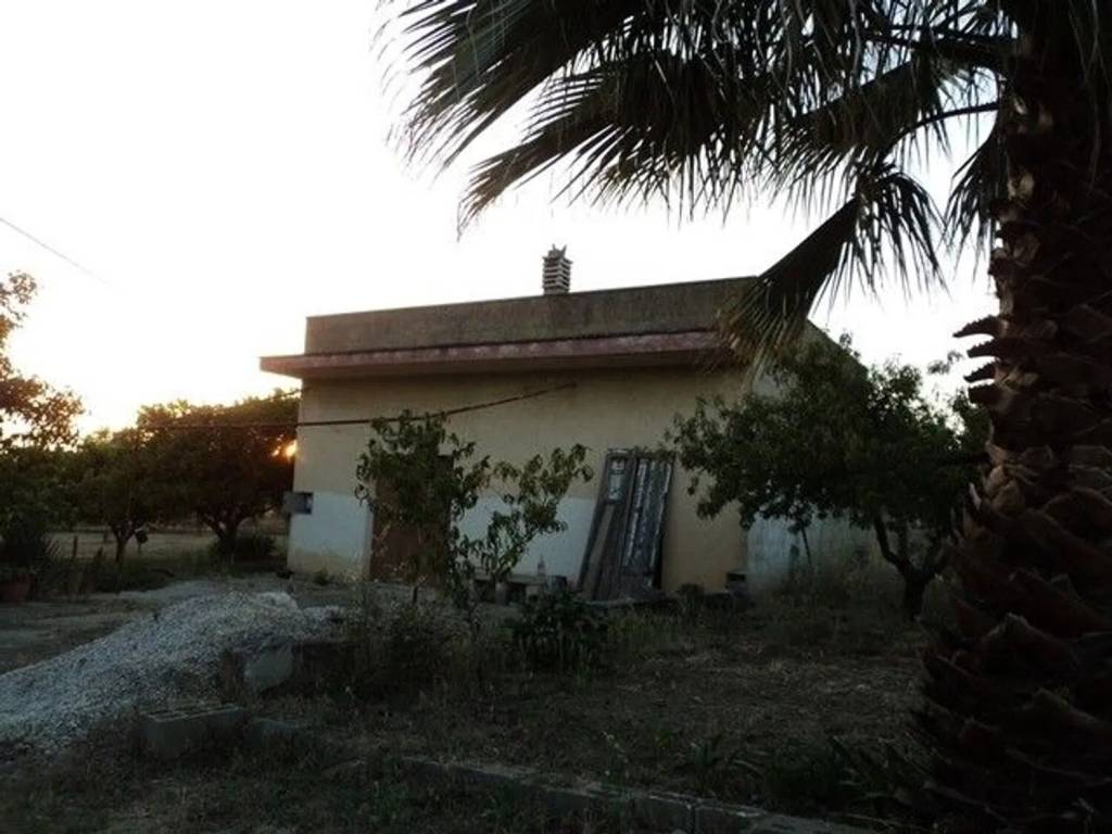 Rustico / casale a Cutrofiano in Contrada Monti S.N.C. - Foto 3