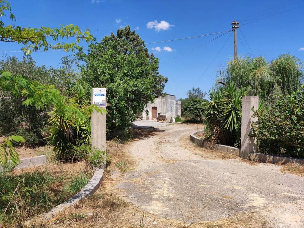 Rustico / casale a Cutrofiano in Via Collepasso S.N.C. - Foto 3