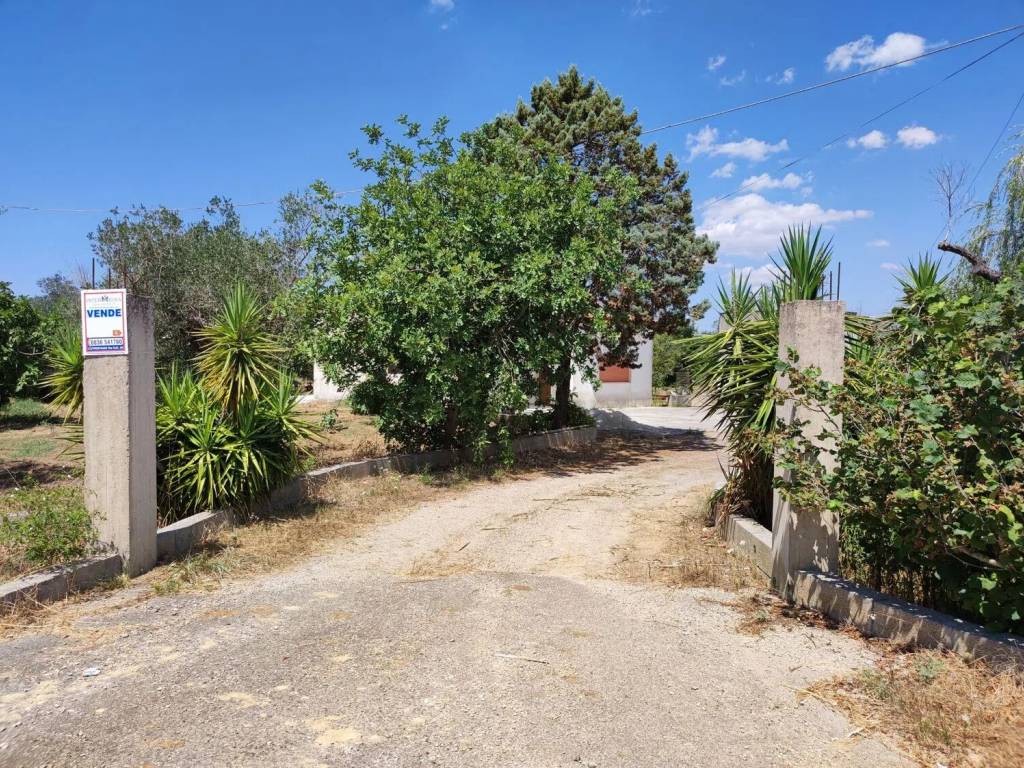 Rustico / casale a Cutrofiano in Via Collepasso S.N.C. - Foto 5