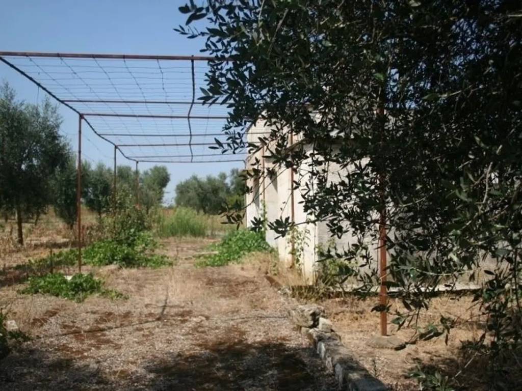 Rustico / casale a Cutrofiano in Contrada Mandrò - Foto 5