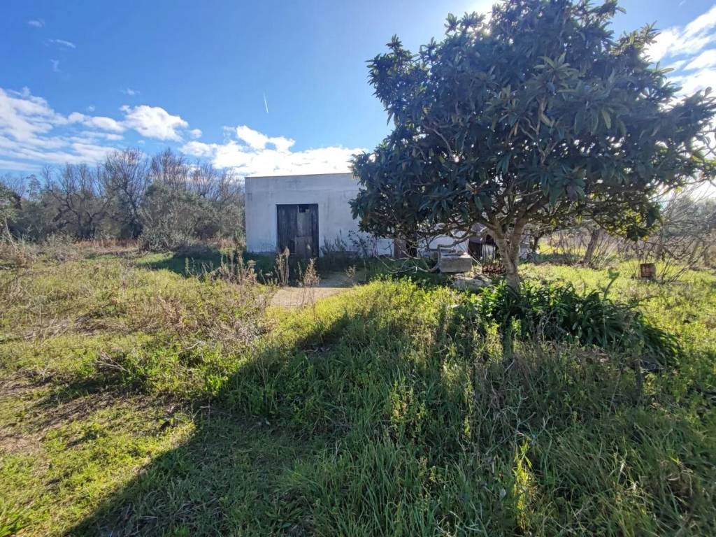 Rustico / casale a Cutrofiano in Via Vicinale Mandrò S.N.C. - Foto 4