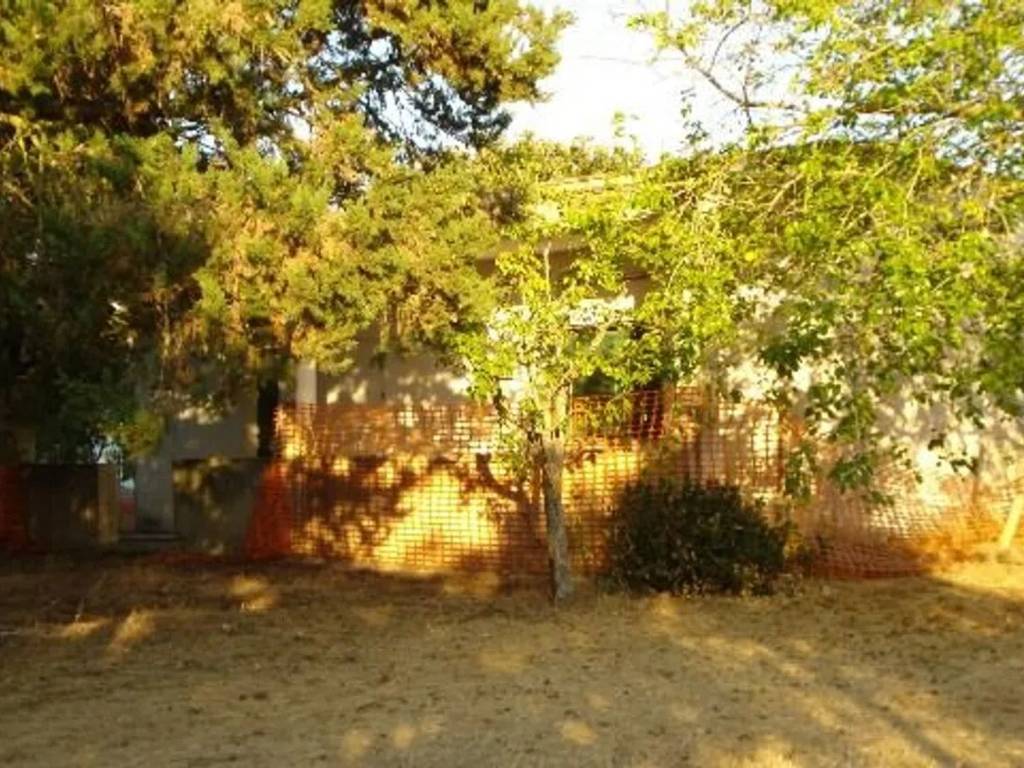 Rustico / casale a Cutrofiano in Contrada Montebrutto S.N.C. - Foto 5