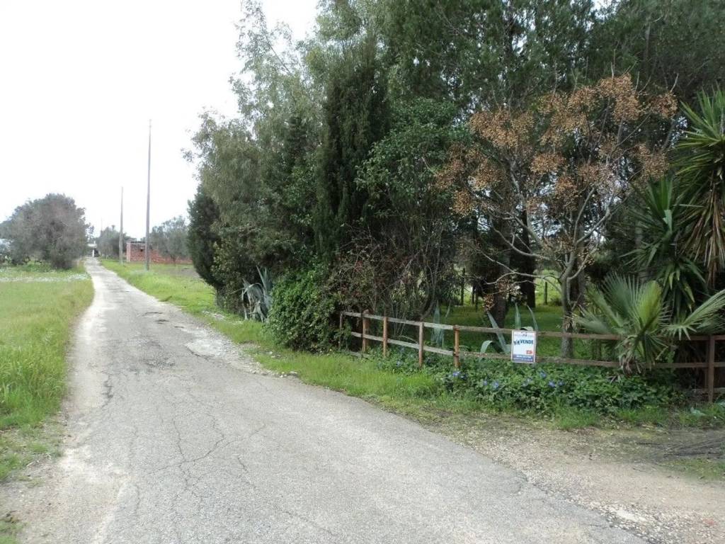 Rustico / casale a Cutrofiano in Contrada Macchia S.N.C. - Foto 4