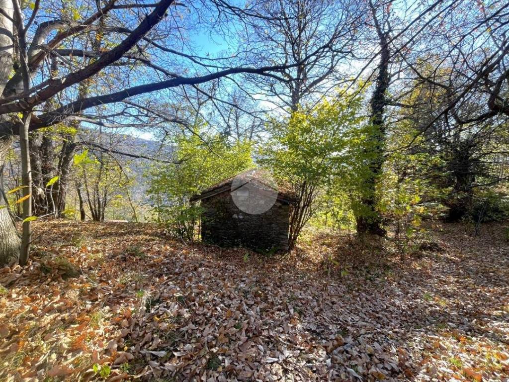 Rustico / casale a Sagliano micca in Frazione Oneglie - Foto 4