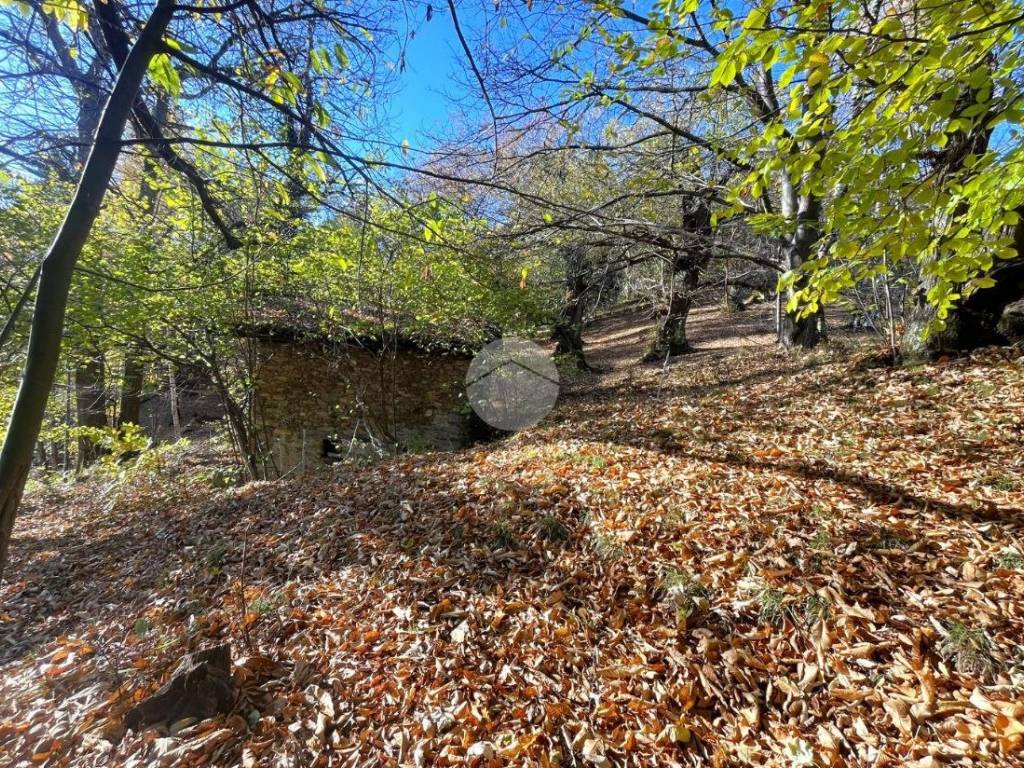 Rustico / casale a Sagliano micca in Frazione Oneglie - Foto 5