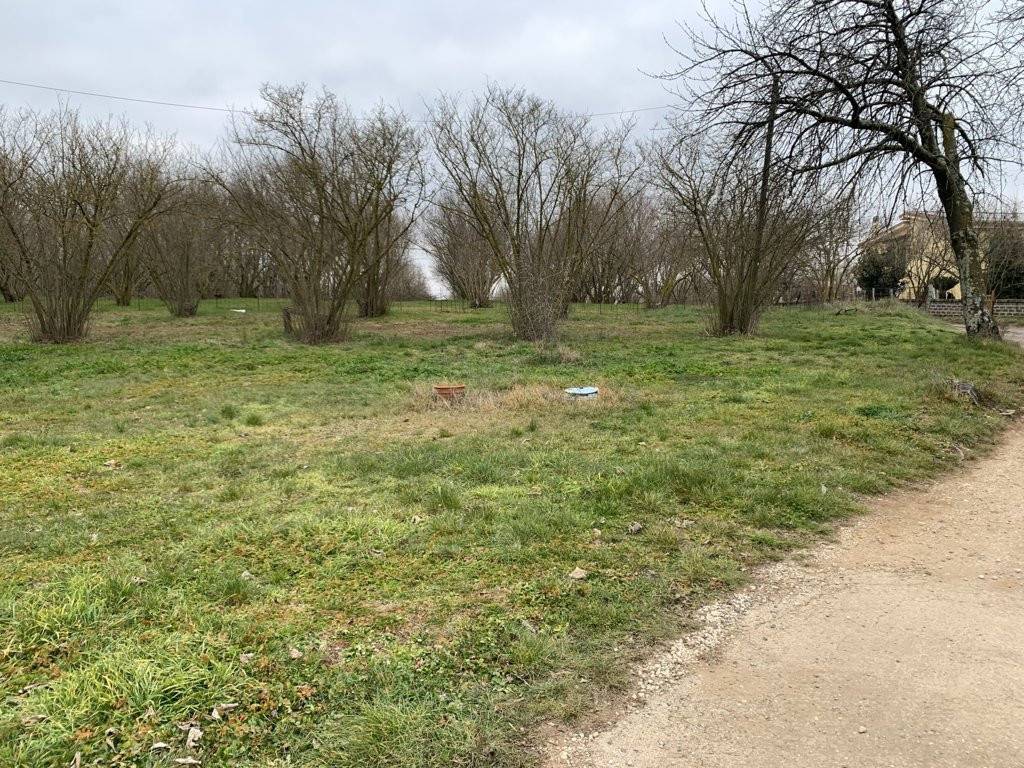 Rustico / casale a Sutri in Località Pian Castagno - Foto 3