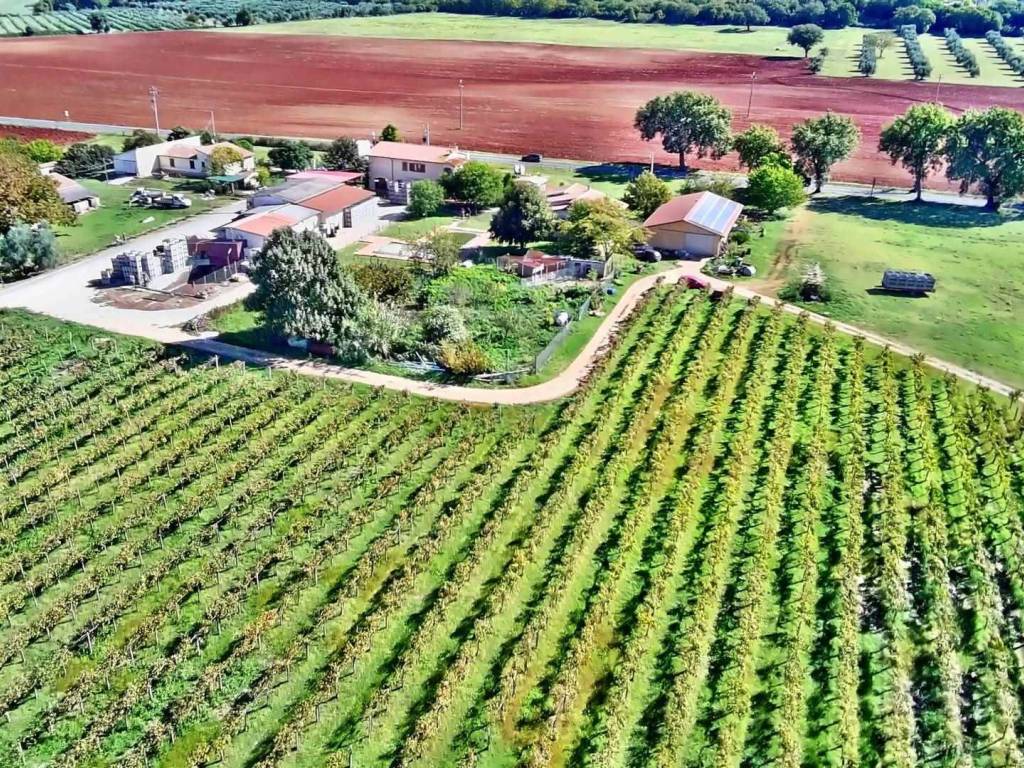 Immobile a Manciano - Foto 2