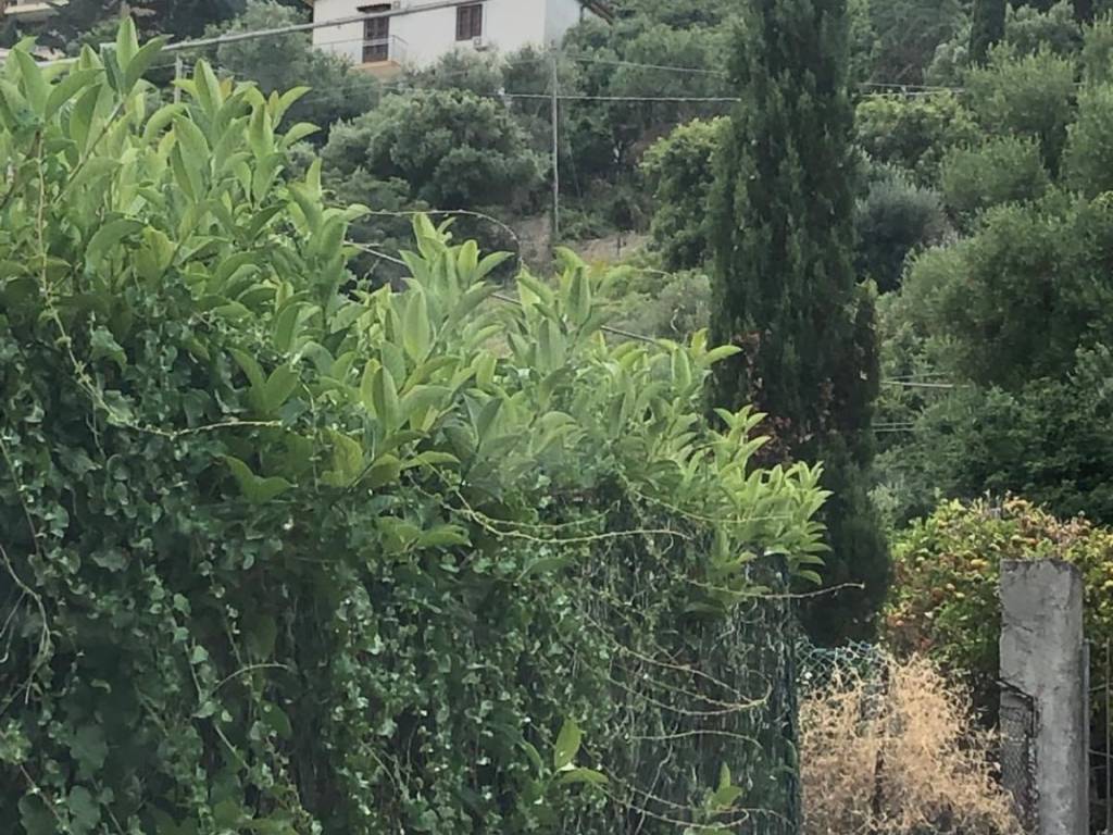 Villa a Carini in Via Enrico Berlinguer - Foto 2