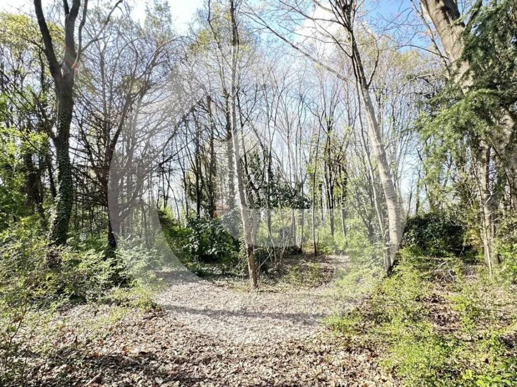 Terreno a Borgoricco - Foto 5